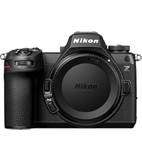 Nikon Z 30 ミラーレス一眼 + NIKKOR Z 40mm f/2 S Amazon | 【セット】 ニコン ミラーレス一眼 Z30 ボディ + 単