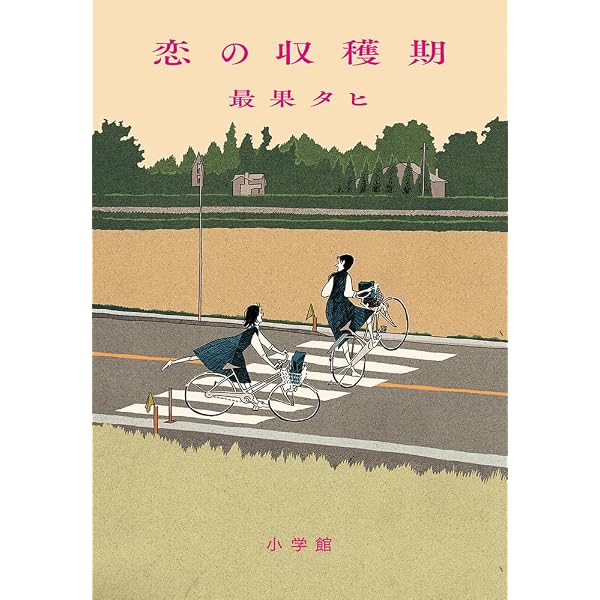 Amazon.co.jp: 愛蔵版 冷静と情熱のあいだ (文芸シリーズ) : 江國 香織