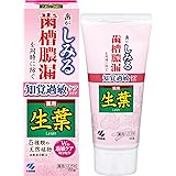 生葉(しょうよう) 知覚過敏症状予防タイプ 歯槽膿漏を防ぐ 薬用ハミガキ 和漢ハーブの香味 100g 【医薬部外品】