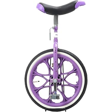 Amazon.co.jp 売れ筋ランキング: 一輪車 の中で最も人気のある商品です