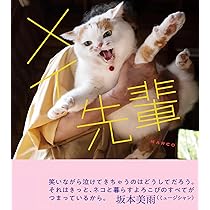 メイ先輩 | MARCO |本 | 通販 | Amazon