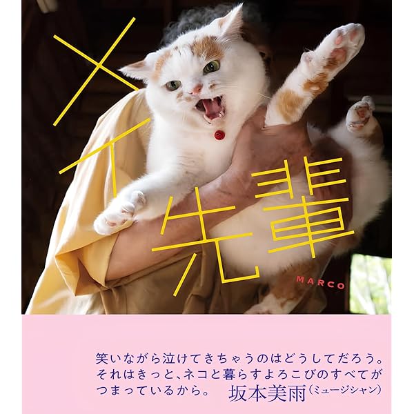 にゃんたまω | 芳澤 ルミ子 |本 | 通販 | Amazon