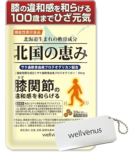 北国の恵み プロテオグリカン 2型コラーゲン 93粒