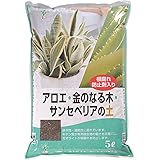 Amazon Co Jp アロエ ベラ 食用出来て美容と健康に重宝 ４号 Diy 工具 ガーデン