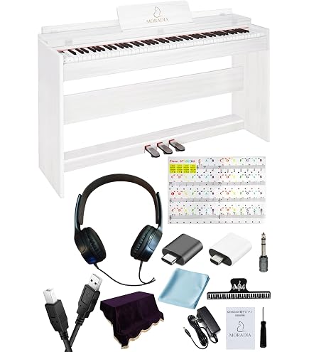 Amazon | KORG コルグ デジタルピアノ SP-250WS ホワイトシルバー