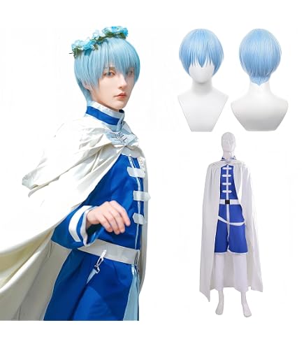 Amazon.co.jp: ブルーアーカイブ 天雨 アコ コスプレウィッグ : ホビー