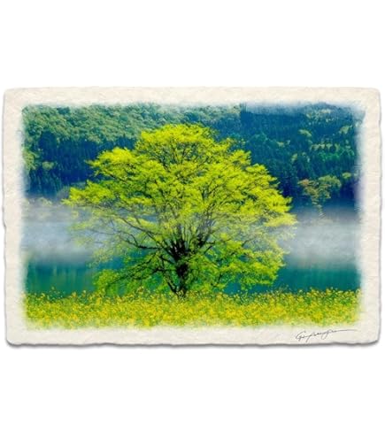 Amazon.co.jp: ポスター 山 自然 風水 絵 山の絵 緑の絵 玄関 開運