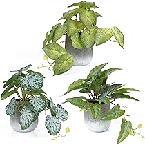 71Aodx798TL._AC_UL210_SR210,