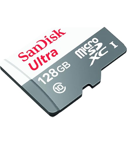 SanDisk 512GB Extreme Go scheda microSDXC + adattatore SD (per