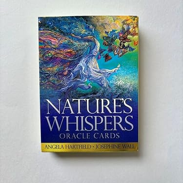 Amazon.co.jp 最新リリース: 単語帳・単語カード の新着