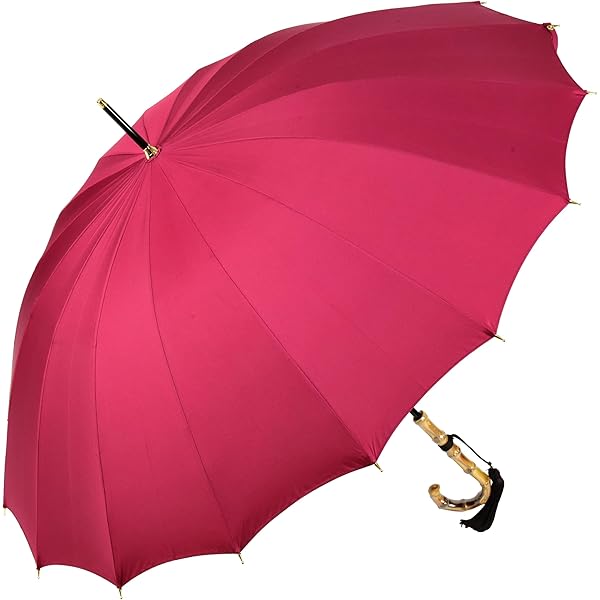 Amazon | 傘 レディース 長傘 前原光榮商店 カーボン 16本骨