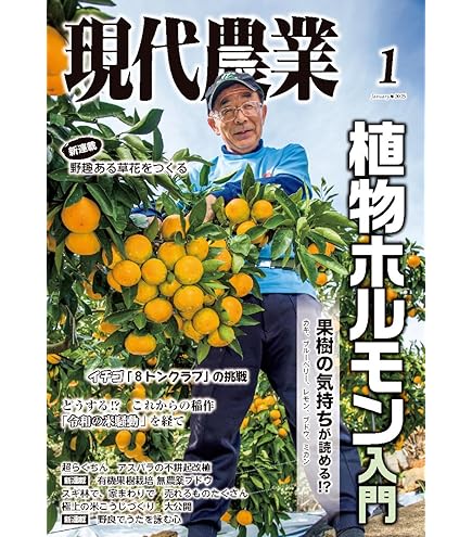 Amazon.co.jp: 法の華 天声聖書 非売品 天法大師 福永法源 法の