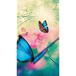 チョウ(蝶) iPhone SE/8/7/6s(750×1334)壁紙 Schmetterlinge 2023: Kalender チョウ(蝶) iPhone SE/8/7/6s(750×1334)壁紙 Schmetterlinge 2023: Kalender