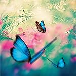 チョウ(蝶) iPad壁紙 Schmetterlinge 2023: Kalender チョウ(蝶) iPad壁紙 Schmetterlinge 2023: Kalender