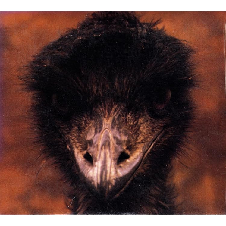 Amazon.co.jp: 世界の娯楽: ミュージック