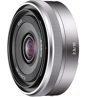 Amazon | SONY(ソニー) コンバーターレンズ APS-C フィッシュ