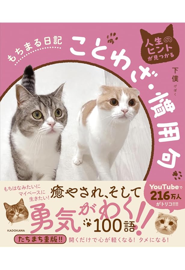 人生のヒントが見つかる もちまる日記四字熟語 | 下僕 |本 | 通販 | Amazon