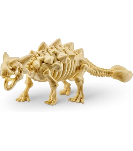 sr♡　恐竜化石　① Amazon.co.jp: Robo Alive 恐竜化石発見 - T-Rex by ZURU 掘削