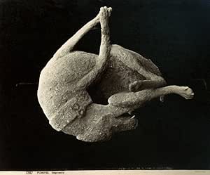 ポンペイ石膏 鋳造 Nplaster Cast Of A Dog That Fell Victim To The Euption Of A Dog That Vesuvius Italy 79年 Ad That Destroyed Pompeii Photograph By Giorgio Sommer C10 ポスタープリント 24 X 36 Home Kitchen Amazon Co Jp