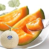 北海道産 富良野メロン 1玉入り (共撰 秀品/1玉 1.6kg/ルピアレッド・R113等/常温品) JAふらの 富良野 メロン 赤肉メロン お中元 ギフト 北海道 果物 フルーツ お取り寄せ