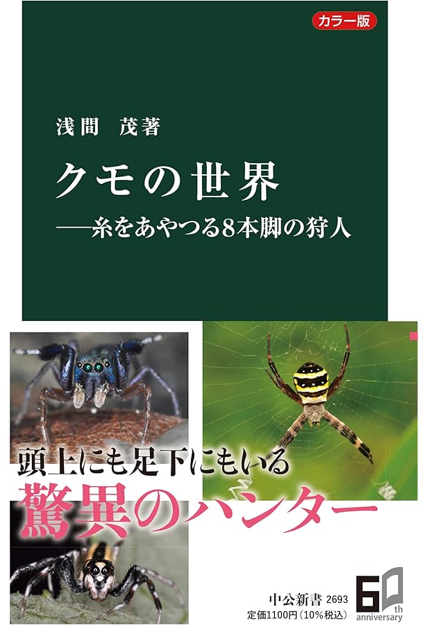 クモのイト | 中田兼介 |本 | 通販 | Amazon