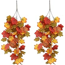 71B6CgxHgYL._AC_UL210_SR210,