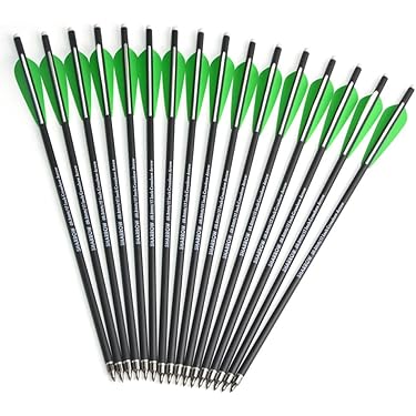 Amazon.co.jp ほしい物ランキング: アーチェリー用矢 で、ほしい物