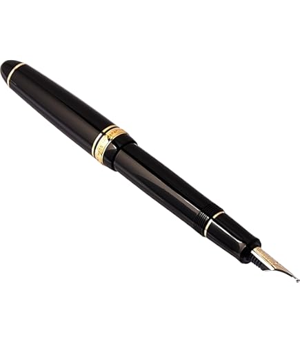 Amazon | PILOT万年筆 カスタム742 ペン種：14K 10号 SM／軸色