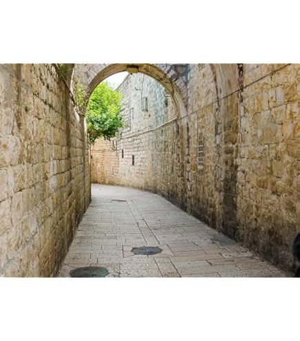 CSFOTO 12x8ft Jerusalem Old Street Backdrop - Ancient Stone Wall With Spring Flowers Background