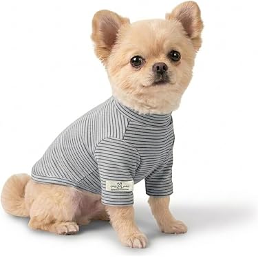 Amazon.co.jp 最新リリース: 犬用服・アクセサリ の新着ランキングです。