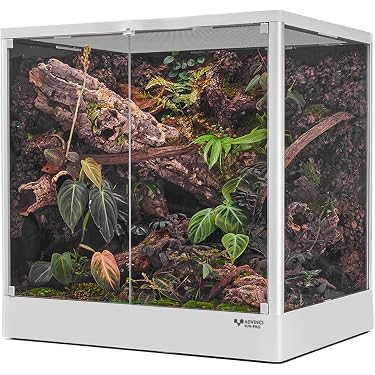 Amazon.co.jp 売れ筋ランキング: 爬虫類・両生類用飼育ケース・ケージ