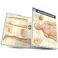 Acupressure