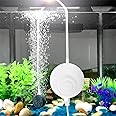 ZHHMl 水槽エアーポンプ 小型エアーポンプ 0.3L / Min空気の排出量 空気ポンプ 低騒音 効率的に水族館/水槽の酸素提供可能 (ホワイト)