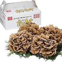 Amazon | いちまさ 新潟県産 まいたけ 舞茸 (4株 約1.5kg) 無農薬 国産 