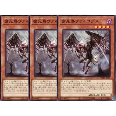 Amazon.co.jp 最新リリース: シングルノンスポーツコレクション