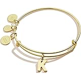 Alex and Ani Initial D III Bangle Bracelet