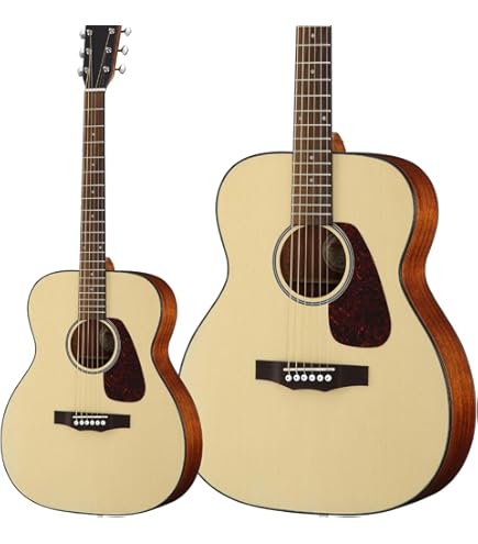 Amazon | Morris F-022 TS タバコサンバースト モーリス フォーク