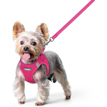 Amazon.co.jp 売れ筋ランキング: 犬用首輪・ハーネス・リード の中で