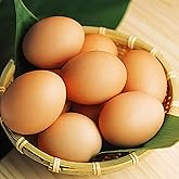 水郷のとりやさん 平飼い 鶏卵 放し飼い自然卵 有精卵 5個詰 （+破損保障分1個）