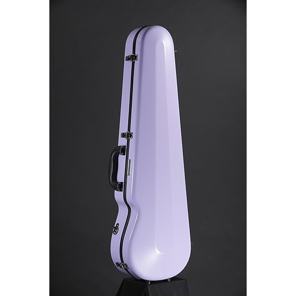 Amazon.co.jp: J.W.Eastman イーストマン バイオリンケース