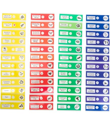 Amazon | 小学館の図鑑 NEO POCKET 4冊セット 昆虫・植物・動物