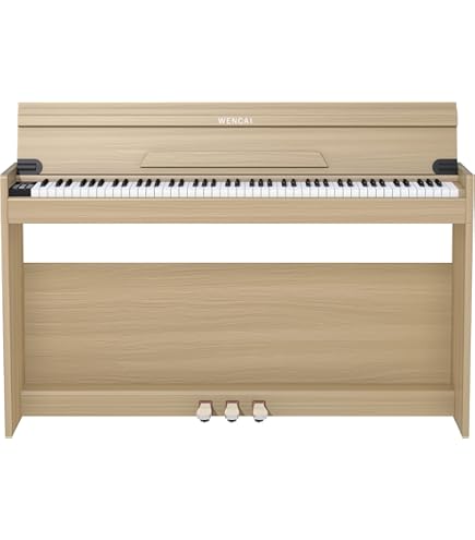 Amazon | ALESIS Concert 電子ピアノ Recital上位機種(音色数2倍・サス