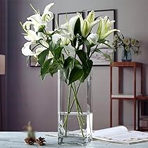 Modern Art ガラス　一輪挿し　フラワーベース Amazon.co.jp: YJFFQ ガラス花瓶 花瓶 12*40cm 一輪挿し