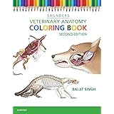 Veterinary Anatomy Coloring Book