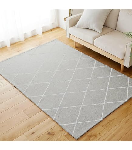 Amazon｜ニトリ やわらかシャギー ラグ SR004 130X185cm ライトグレー