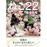 ねこ22(にゃんにゃん) (ねこのきもち)