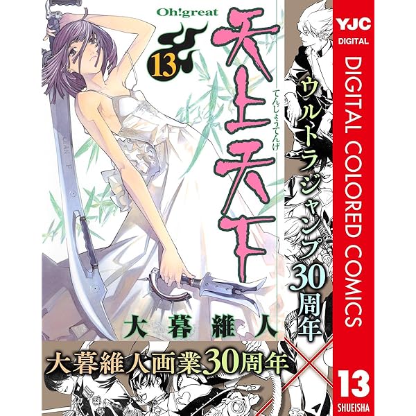 Amazon.co.jp: 天上天下 カラー版 14 (ヤングジャンプコミックス