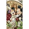 ミッキー&ミニー ディズニー - ミッキー&ミニー XFVGA(480×854)壁紙 90577