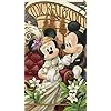 ミッキー&ミニー ディズニー - ミッキー&ミニー QHD(540×960)壁紙 87015