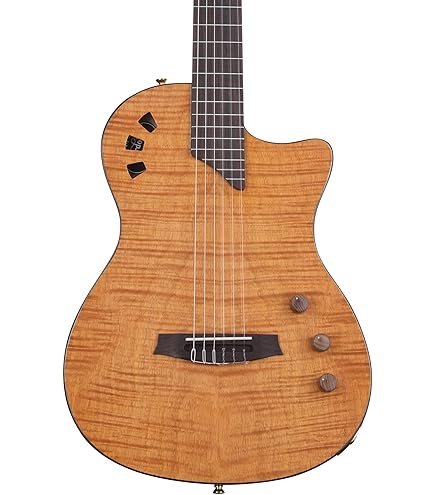 Amazon.co.jp: コルドバ Cordoba エレガットギター クラシックギター 